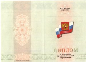 Диплом ПТУ 2014-2025 г.